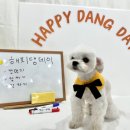 더로찌 이미지