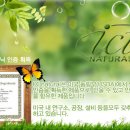 USDA 승인 유기농 제품 ici natural 티트리 안티셉틱 샴푸/컨디셔너 이미지