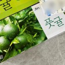 시루가 | 농가의 자부심 제주 감귤 산지직송 시루가 인정하는 제주감귤 후기 🍊