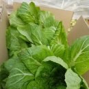 빛마루농장 이미지