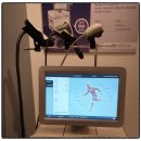 덕인메디칼 | 노동자 허리통증완화 스톨즈 충격파 장비와 덕인메디칼 협력으로 보는 클리닉 도입 가이드와 임상 활용