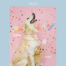 해피몽스데이 이미지