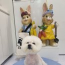 개꿈호텔 이미지