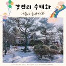 강원도 홍천 가성비숙소 비발디파크 근처 강변의수채화 펜션