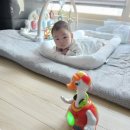 유천도서관 | 대구 달서구 유천장난감도서관 사용후기