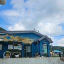 코코블리 애견운동장 이미지