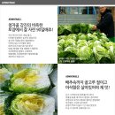 푸름농장 이미지