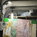 부산 만덕의 명물 야식 트럭포차 (오뎅 국물 끝내줘요)