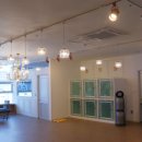 퍼피루시드 이미지