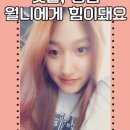 닭꼬야끼 이미지