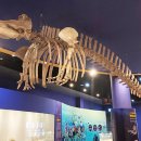 큰바다수산 이미지