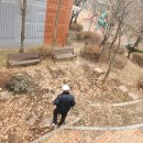 천리지게차 | 경기 고양 폐기물 처리 낙엽 수거 진행했어요