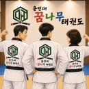 용인대 꿈나무 태권도장 네이버블로그
