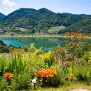 청풍을담다 이미지