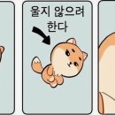 마이데이 이미지