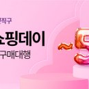쇼핑데이