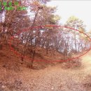 안중읍 금곡삼거리 이미지