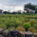 뉴월드부동산공인중개사사무소 이미지