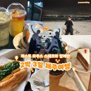 제주 게스트하우스 스탭 🦺 과 함께했던 월정리, 세화 2박 3일 - 1️⃣