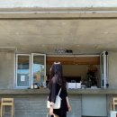 제주린넨 이미지