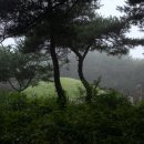 성덕 이미지