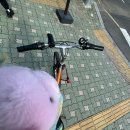 동주김밥 이미지