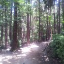 동아대학교의료원 이미지