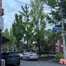 안심택배함(계대정문) | [대구 성서 계대] 가성비 좋아서 재재방문한 쭈꾸미 맛집 마초쭈꾸미