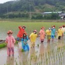 유어초등학교 이미지