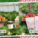 보석가공식품