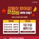 시티존 이미지