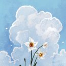 제주와봄 이미지