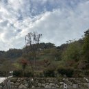 연꽃자리캠핑타운 | 경남 진주 캠핑장 연꽃자리 캠핑타운 단풍 캠핑