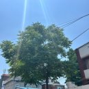 신길종합전기 이미지