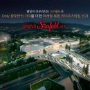 스타고속관광