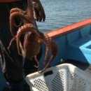 승민농장 이미지