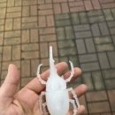 돈키호테라피 이미지