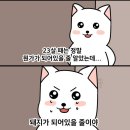 매일매일횟집 이미지