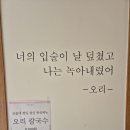 하대동282 이미지