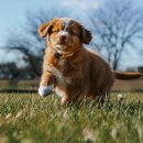 구로-고척-구로-483 이미지