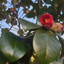 쌍산재민박 이미지