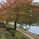 경춘선 자전거도로(평내동, 약대울 소리정원)[평내-4] | 춘천 ~ 돌곶이 경춘선 자전거길 라이딩