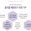 에스프라임 이미지