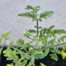 미성농장 이미지