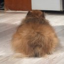 모가우체국 앞 | 월간소식 26년 1월호: 다들 쭈꾸미 하나씩은 있잖아?