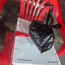 우리농수산물 | 사랑수산 몇 년째 이용하는 구리농수산물시장 대게, 킹크랩 맛집 포장 후기