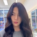보하비 이미지