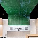 동물친구들 애견미용실 이미지