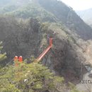 순창 메타세콰이어길 이미지