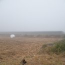 호피농장 이미지